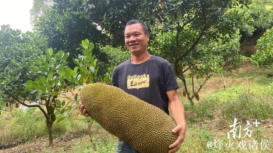 菠萝蜜在线免费视频